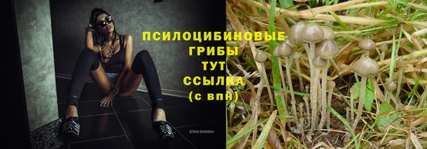 стафф Абинск
