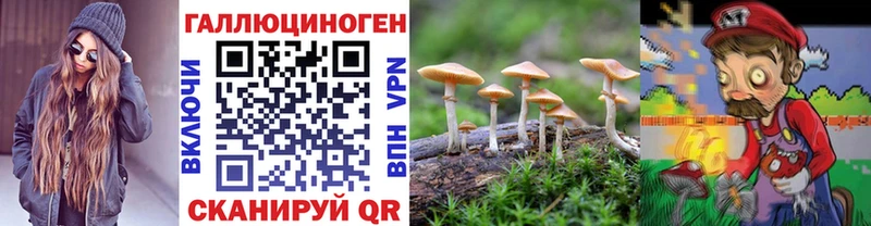 ОМГ ОМГ ONION  Сусуман  Псилоцибиновые грибы мухоморы  продажа наркотиков 